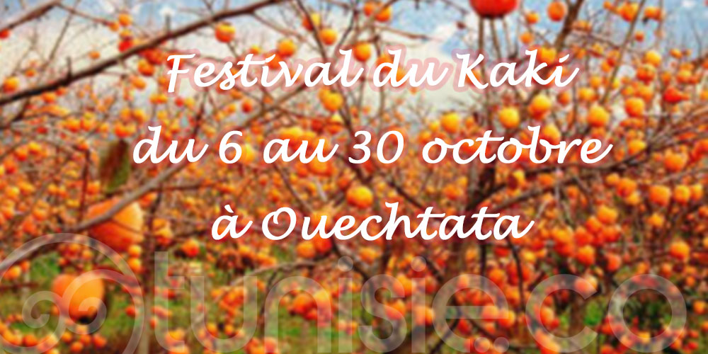 Festival du Kaki du 6 au 30 octobre à Ouechtata, une édition colorée et sucrée à l'image du fruit!