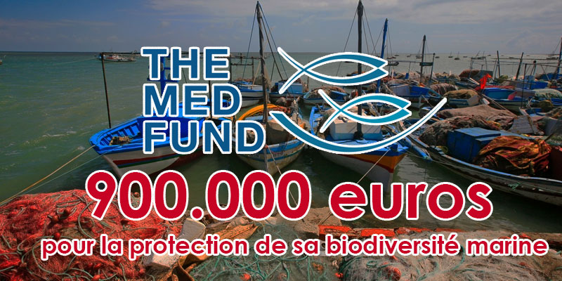 La Tunisie reçoit 900.000 euros pour la protection de sa biodiversité marine