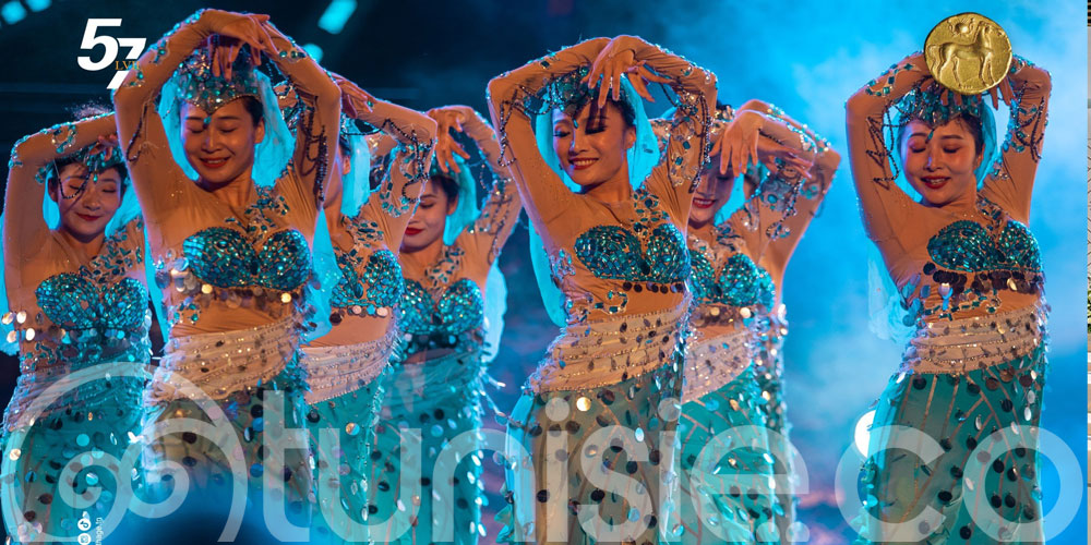 The Ningxia performing arts group à Carthage