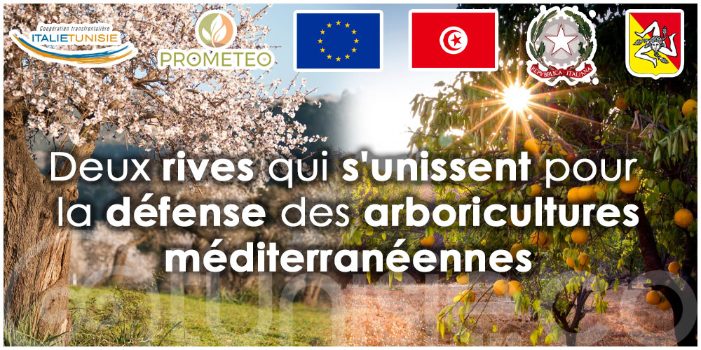 ''PROMETEO'' Un village transfrontalier pour protéger les cultures arboricoles méditerranéennes 
