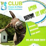 Sauvons les ânes du Cap Bon : Action de sauvegarde les 1er et 2 juin 2013