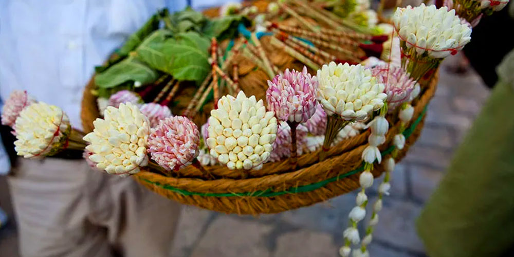 Bouquet de jasmin tunisien, parfum doux et délicat