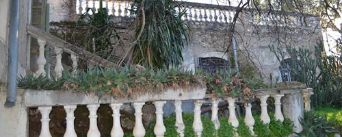 baraket-280314-1.jpg