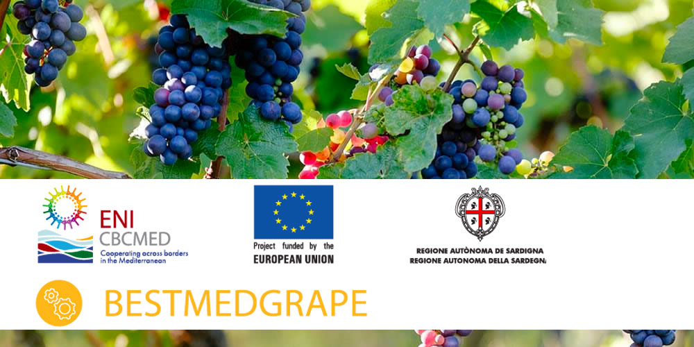 Appel à projets pour la valorisation des déchets du raisin résultant de la vinification