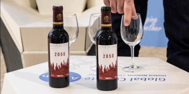 Le vin du futur, le Bordeaux 2050 sera tunisien