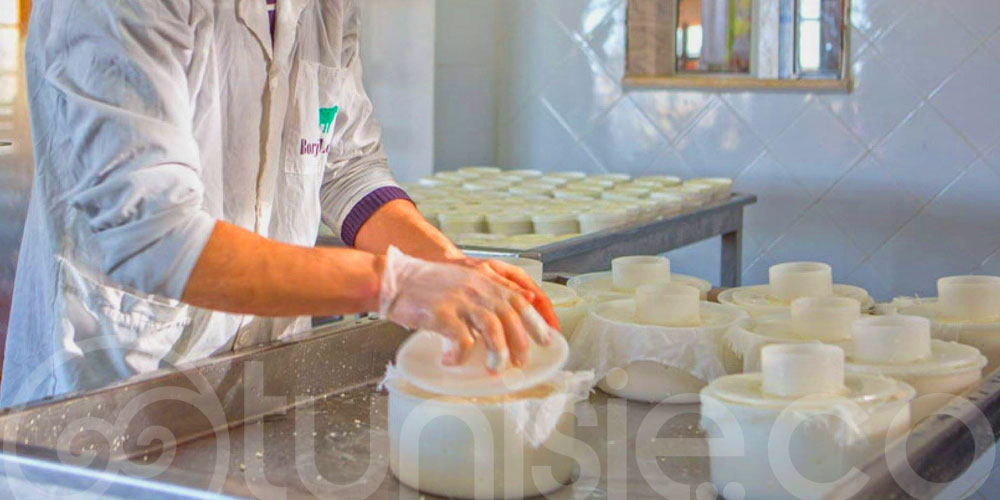 Vivez une expérience authentique à Borj Lella : Table d hôtes et fromagerie 