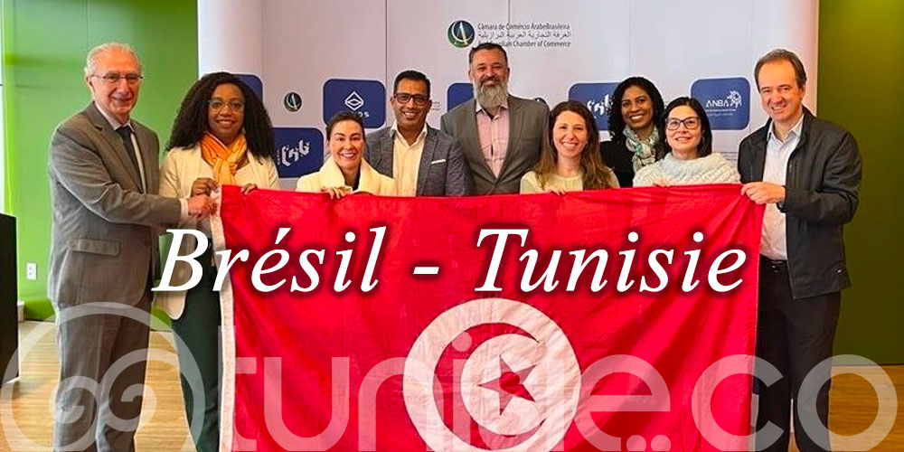 Un nouveau pool touristique  pour booster le tourisme Brésilien en Tunisie