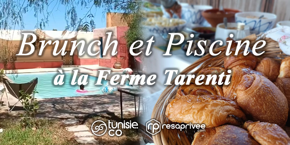Découvrez l'Évasion Gourmande et Relaxante : Brunch Local avec Accès Piscine à la Ferme Tarenti