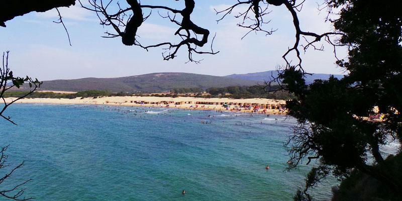 Admirez la plage sauvage et authentique du Cap Serrat