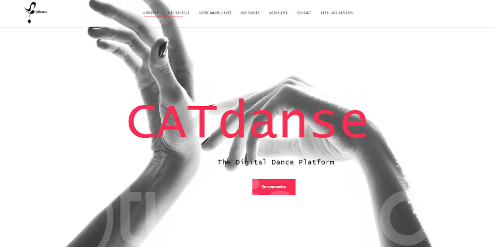 CATdanse : Une nouvelle plateforme pour la communauté danseuse Tunisienne