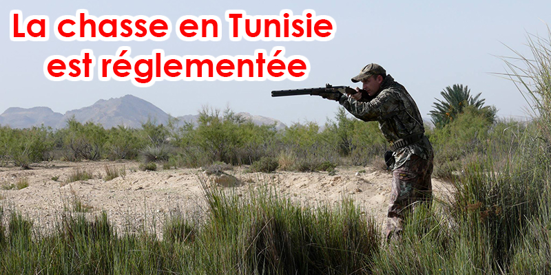 La chasse touristique : La Tunisie offre un séjour plein d'adrénaline