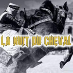 'La Nuit du Cheval' 1ère édition spectacle équestre son et lumière ce 11 octobre 2014 au Colisée d'El Jem