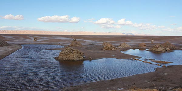 10 photos qui vous donneront envie de visiter le lac salé de Chott-El-Jérid 