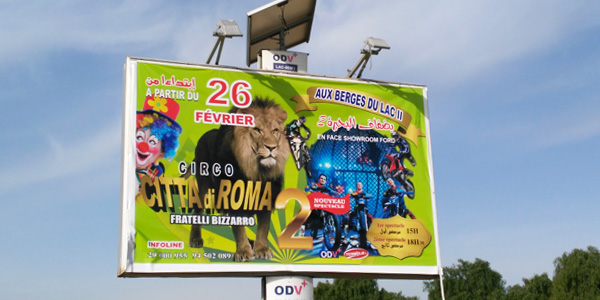 cirque-170216-1.jpg