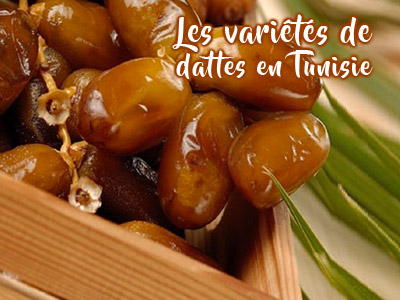 Connaissez-vous les types de dattes en Tunisie ?