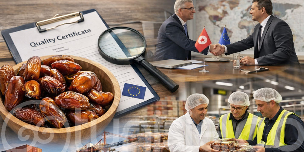 Deglet Nour propulse le Sud tunisien sur les marchés européens