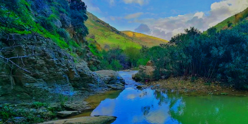 Paysage naturel d'Oued Zitoun, Tunisie, rivière et vallée verdoyante