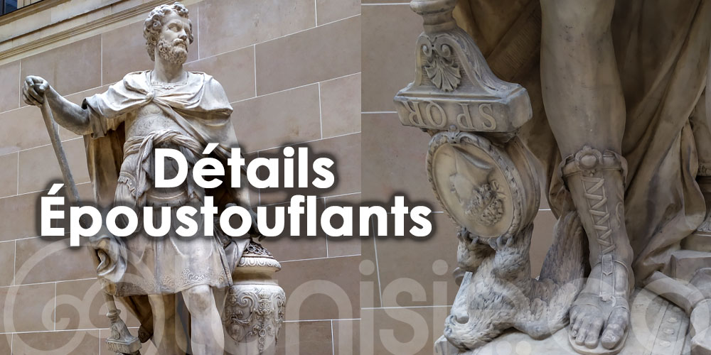 En Photo : Hannibal au Louvre, Une Beauté qui Fait la Fierté des Tunisiens