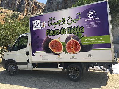 Désormais, la figue de Djebba livrée Ã  Tunis par un camion frigorifique