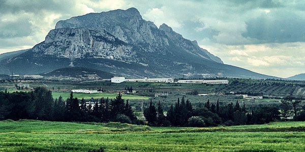 djebel-rsass-03062016-1.jpg