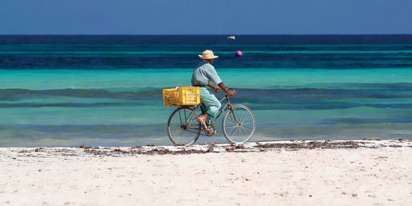 djerba-290316-1.jpg