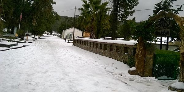 En photos : Le parc national d'El Feija habillé de neige