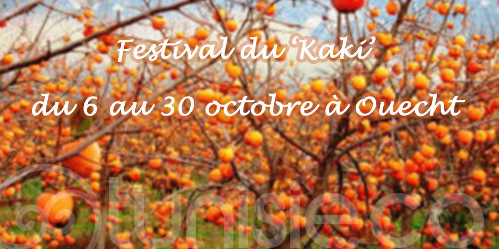 Festival du Kaki du 6 au 30 octobre à Ouechtata, une édition colorée et sucrée à l'image du fruit!