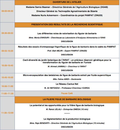 figue-barbarie-050215-1.jpg