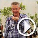 Témoignage de deux Français Ã  la fête des fleurs de bigaradier Ã  Nabeul