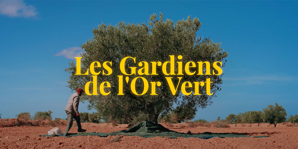 En vidéo : Les gardiens de l'or vert ou Comment la Tunisie Redéfinit sa Culture de l'Olive
