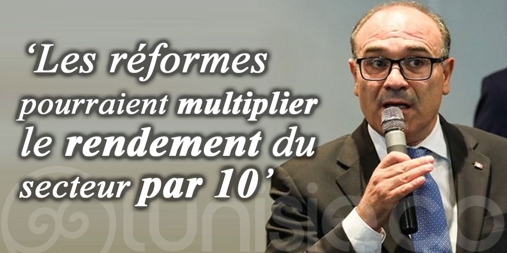 Habib Ammar : Les réformes pourraient multiplier le rendement du secteur par 10