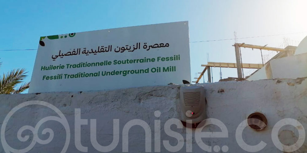 A Djerba, les huileries souterraines au cœur d’un nouveau circuit culturel et culinaire initié par le DMO Djerba