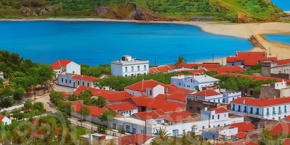 Les touristes algériens tombent amoureux d’un coin méconnu de Tunisie