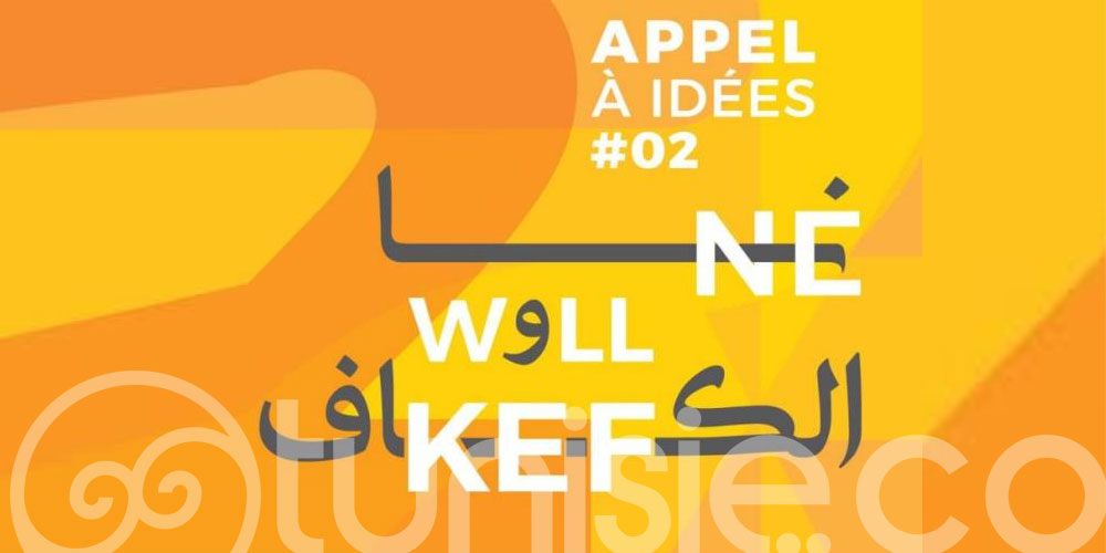 Programme TACIR : Appel à idées “Né Well Kef #2” pour des projets innovants au Kef