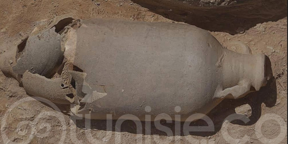 Découverte archéologique à Sbeïba : Tombes anciennes et patrimoine de Kasserine