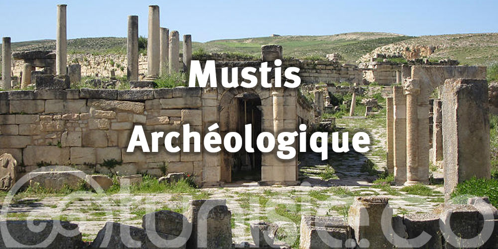 Exploration en cours : les travaux archéologiques redonnent vie à Musti, grâce à la coopération tuniso-polonaise