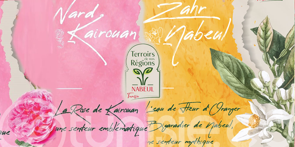 Lot De 6 Sachets Désodorisants à Suspendre - Senteurs Fleurs Et Agrumes - Pour Placard, Maison