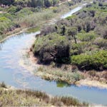 Rencontre des associations de l'environnement et de l'écologie Ã  l'Etoile de la Médina le 15 novembre