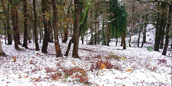 En photos : Jendouba le matin du 16/01/17 après les chutes de neige  