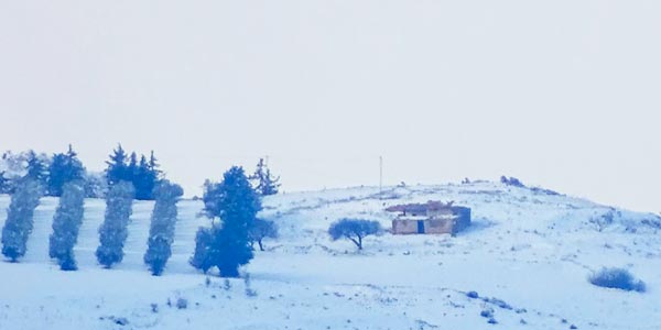 En photos : La neige recouvre les montagnes de Tebourba