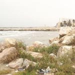 Action de nettoyage Ã  la plage du Kram et de Kheireddine, dimanche 5 mai