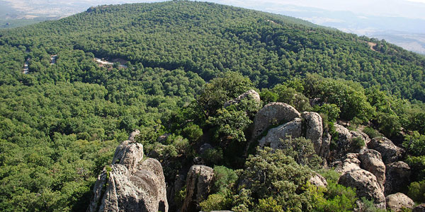 10 photos qui vous donneront envie de visiter le parc national d'El Feija