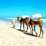 10 plages labellisées pavillon bleu Ã  Djerba