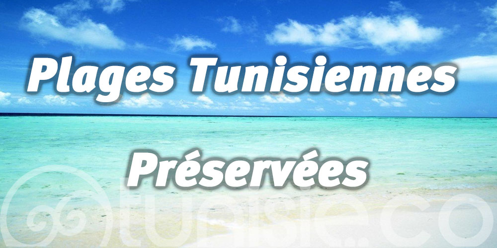 Plages tunisiennes préservées : Guide des endroits où se détendre au bord de l'eau