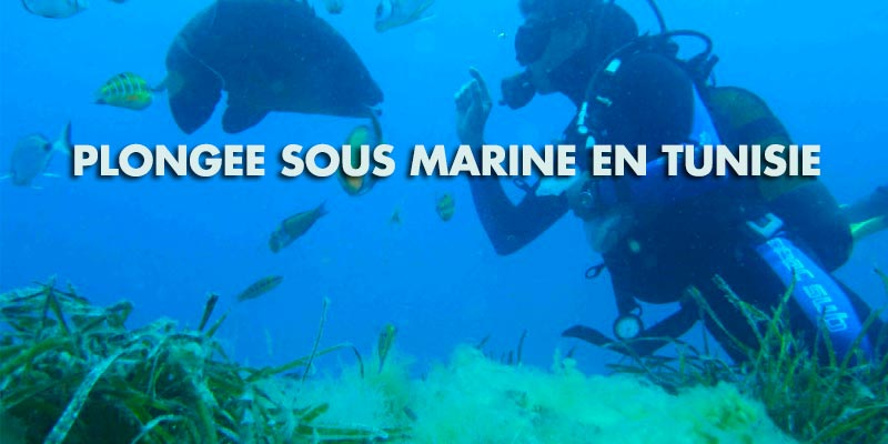 plongée-sous-marine-tunisie-130718-1.jpg