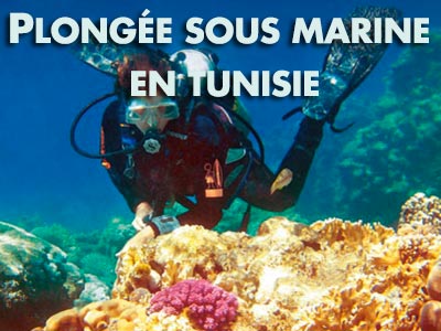 Passionnés de plongée sous-marine : Ces 5 adresses en Tunisie sont pour vous !