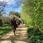 Déjeuner et randonnée équestre le 17 Janvier Ã  Sidi Thabet 