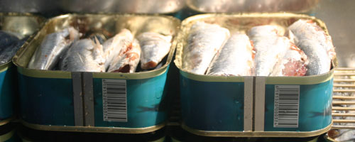 sardines-080615-1.jpg