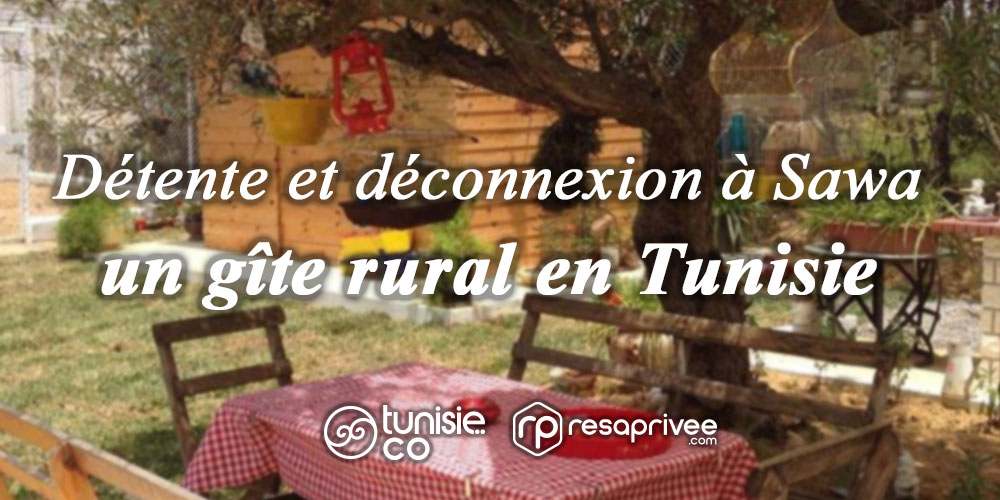 Découvrez la tranquillité de Sawa, un gîte rural au cœur de la campagne tunisienne