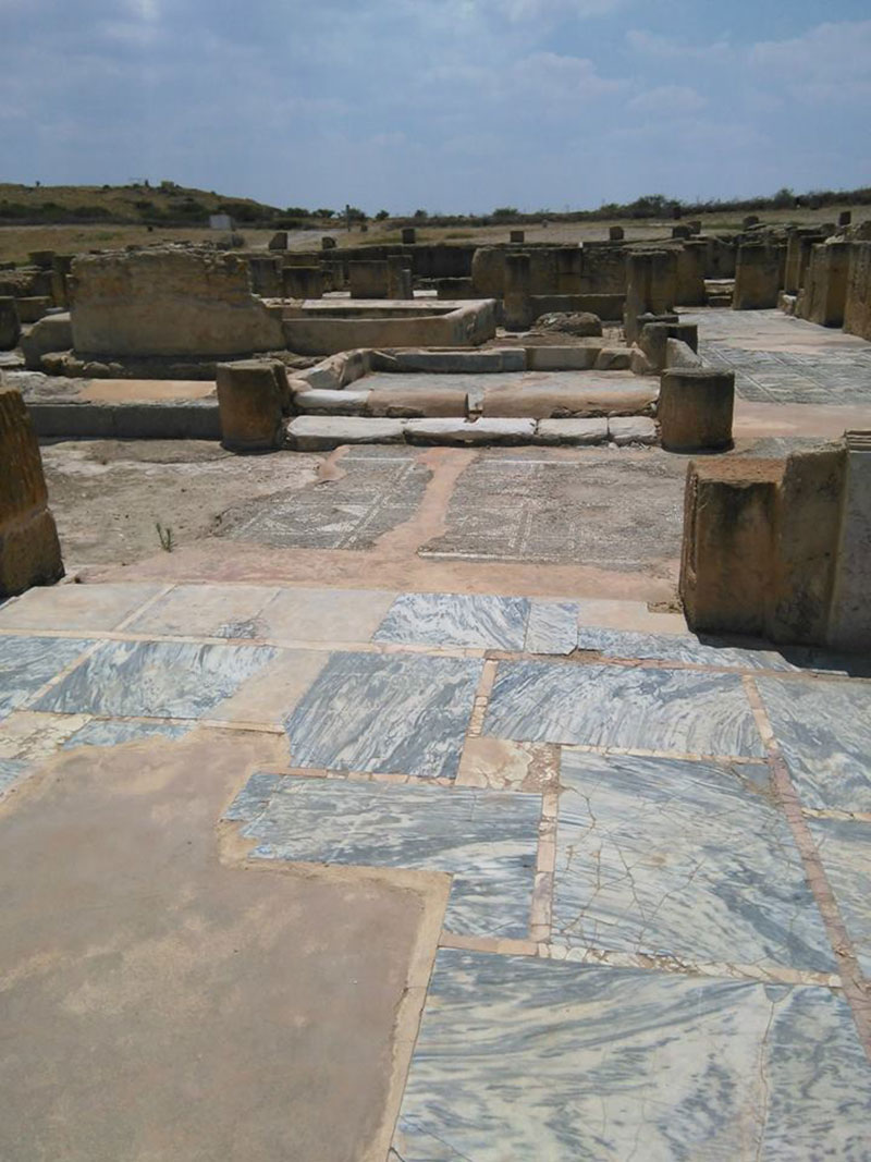 site-archeologique-oudhna-300818-06.jpg